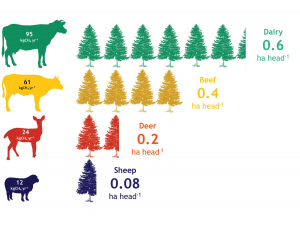 A limit to trees saving the planet and farms - report