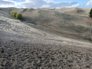 While it was reported that over 400mm of rain fell in Taranaki, most of that war in the areas surrounding and inland from Mt Taranaki.