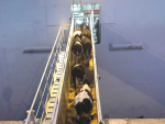 High hopes for return of live exports