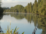 About 100 farmers turned out to the first Waikato Regional Council open days for Healthy Rivers/Wai Ora.