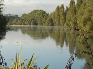 About 100 farmers turned out to the first Waikato Regional Council open days for Healthy Rivers/Wai Ora.