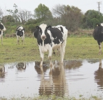 Flood of challenges comes with big wet