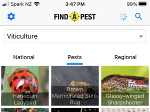 Find-a pest: new biosecurity app can help identify and report vineyard pests