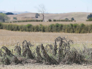 Recent rain has had little impact for drought-hit farmers.