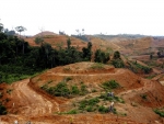 Deforestation in Indonesia. Photo: Greenpeace/Oka Budhi.