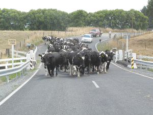 For some, Moving Day not only involves shifting a household of belongings, but it also involves relocating farm equipment and animals.