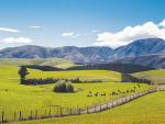 If agricultural export returns fall, who will provide the revenue for NZ to pay its bills?