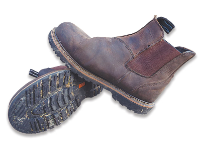 earthwalk shoes