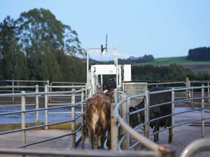 Herd-i Joins NZ Dairy Industry Awards as All-Region Sponsor
