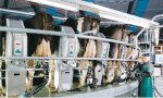 Lift your game on milking