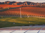 EECA funding helps winegrowers adopt solar and battery systems