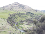 Moawhango River - a tributary of Rangitikei.