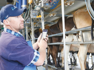 Waikato farmer Graham Cates.