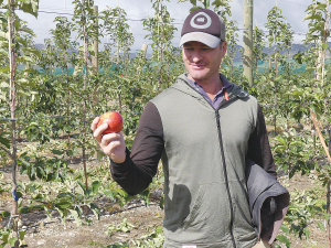 Ngāi Tahu Farming commercial development manager Ben Giesen with one of the first apples from a trial orchard at Balmoral, in the Culverden basin. Photo: Rural News Group.