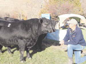 Kincardine Angus Stud&#039;s Mike Smith and Lot 2, which fetched $81,000 at the stud&#039;s recent on-farm bull sale, near Queenstown.