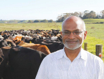 ‘Follow FAO in methane battle’