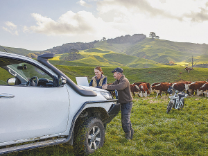The humble ute is the mainstay of the NZ rural sector, with users now being penalised when there are no real alternatives available.