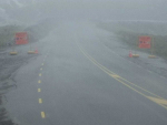 A webcam image taken this morning of Milford Road on SH94. Photo: NZTA Otago/Southland @NZTAOS on Twitter.