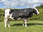 Tronnoco AR Sadio-ET S3F