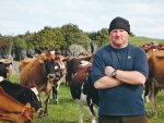 Booster gives quick revival from calving
