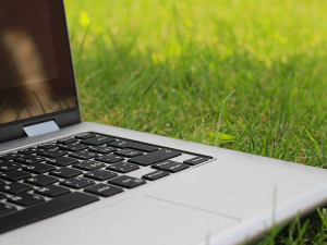 New Free Platform Connects Rural NZ With Board and Trustee Vacancies