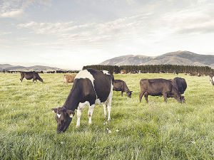 The situation on farm is pretty good in terms of grass growth.