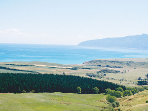 Farm sales are easing according to data released by REINZ.