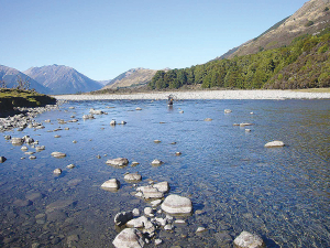 Proposed changes to freshwater rules could reduce red tape, but only if they result in rules that are practical and workable on farm.