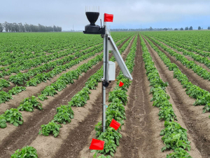 Soils presentations clearly show the effects of irrigation applications helping users to calculate potential future application rates.