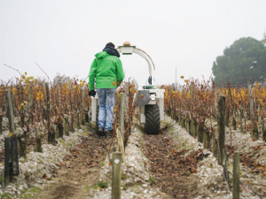 Meet Ted the vineyard robot trialed in Bordeaux and Portugal recently. It has been used for weeding and under vine cultivation. 