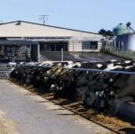 Purchase Group welcomes Crafar decision