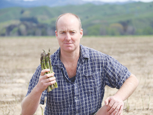Asparagus council chair Sam Rainey says the spiraling cost of air freight means it is unlikely that any NZ-grown asparagus will be exported this season.