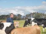 Greg Ault’s herd ranks among the top in Australia for genetic merit but he doesn’t use the most expensive bulls on the market.