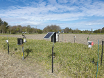 Moisture probes are a valuable tool for managing the timing and application rate of irrigation.