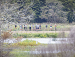 Underwood Wetland celebrated on World Wetland Day, attendees tour the wetland.