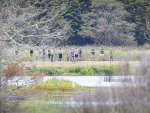 From grazed valley to a lush wetland