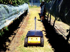 Robotics using laser scanner sensing in a vineyard. 