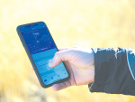 Beef + Lamb NZ have launched a text alert service to let farmers know about changes in FE spores in their region.