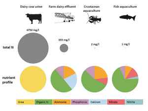 Aquaculture – an opportunity to diversify