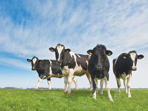 Biosecurity starts at the farm gate.