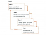 Take all the steps to lift herd performance