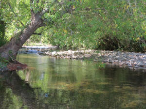 Good news for water quality. 