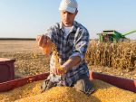 US$12b state aid for American farmers