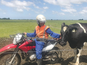 Farmers are able to make applications for 150 workers in management roles, and 50 dairy farm assistants.