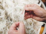 A new tech start up and social enterprise is set to provide a boost to New Zealand's sustainably sourced wool sales.