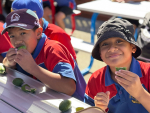Fruit in Schools boosts health for 127,000 Kiwi students