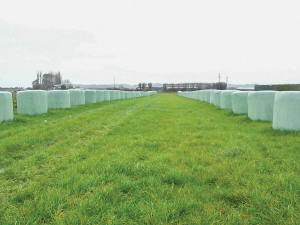 The concept of mechanically wrapping grass, emerged from Australia.