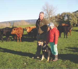 Mating heifers to boost cow numbers