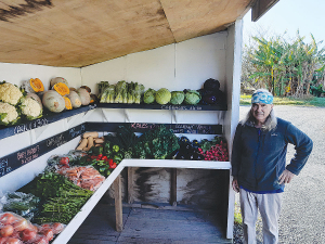 Kumeu grower Frank Argent says opening a produce stall on site has been one of the best business decisions of his life.