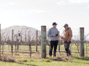 Integrape Pro: NZ Vineyard Data Gets Granular